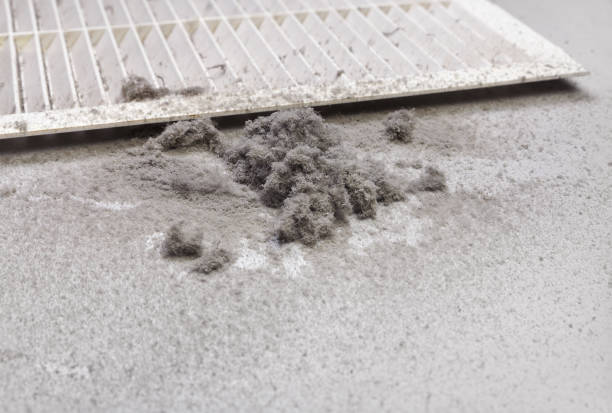 Best HVAC Duct Inspection Services  in Fort Pierre, SD