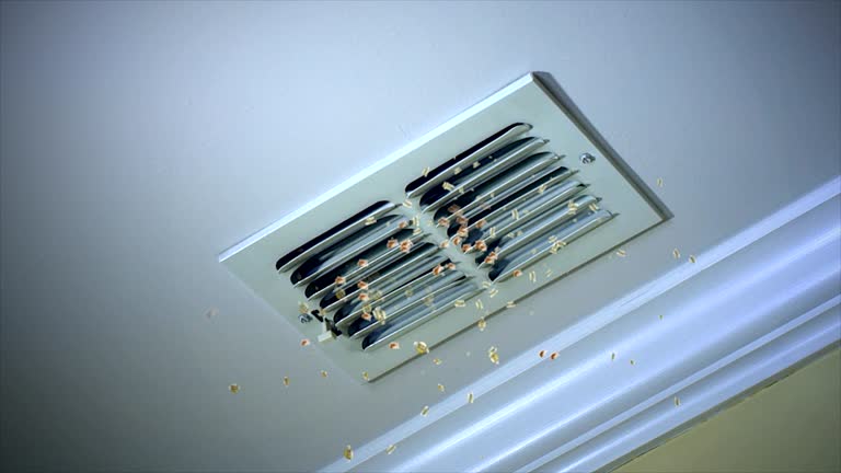 Best Professional Duct Cleaning Services  in Fort Pierre, SD